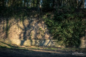 Ombres et lumières, végétal et ruines à la Chartreuse