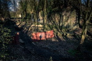 Ombres et lumières, végétal et ruines à la Chartreuse