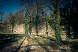 Ombres et lumières, végétal et ruines à la Chartreuse