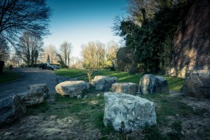 Ombres et lumières, végétal et ruines à la Chartreuse
