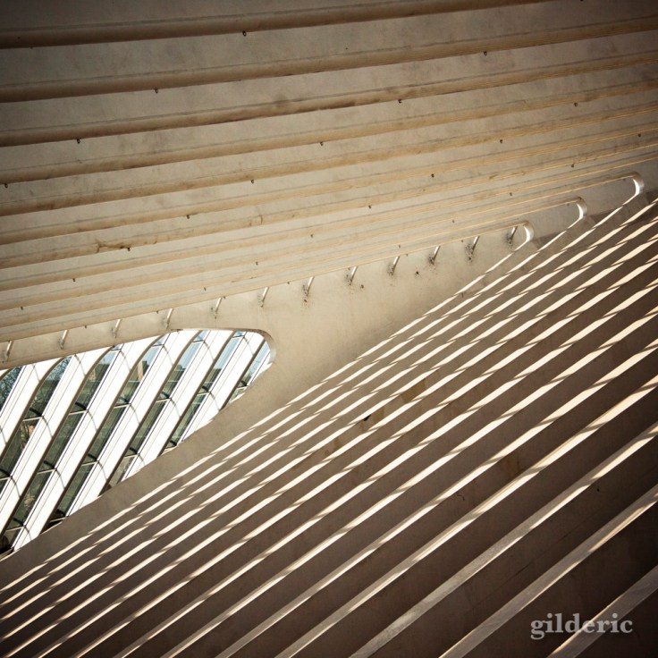 Détail de la gare de Liège-Guillemins