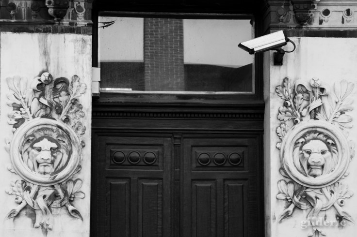 Les Lions et la Caméra