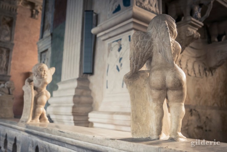 Chérubin (Temple Malatesta)