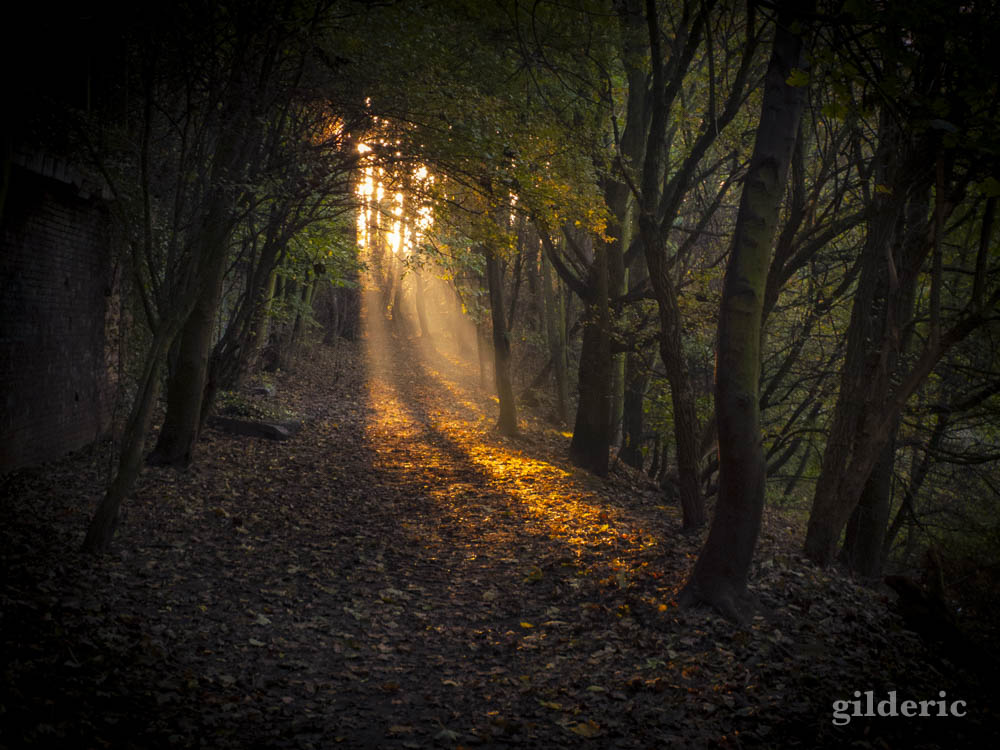 Autumn Fantasy :lumière et couleurs d'automne