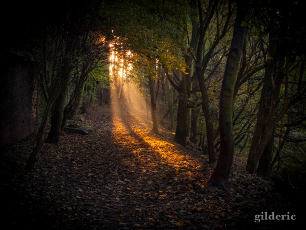Autumn Fantasy :lumière et couleurs d'automne
