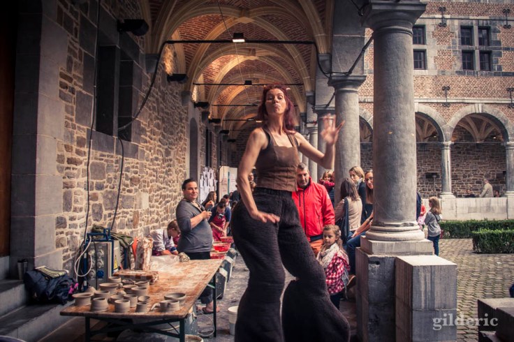 Faune au Musée de la Vie Wallonne (Fêtes de Wallonie 2016)