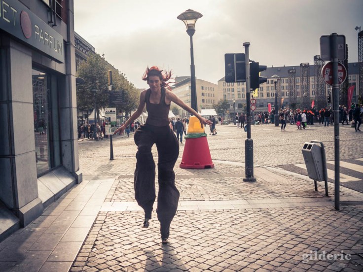 Faune dans les rues (Wallos de Liège 2016)