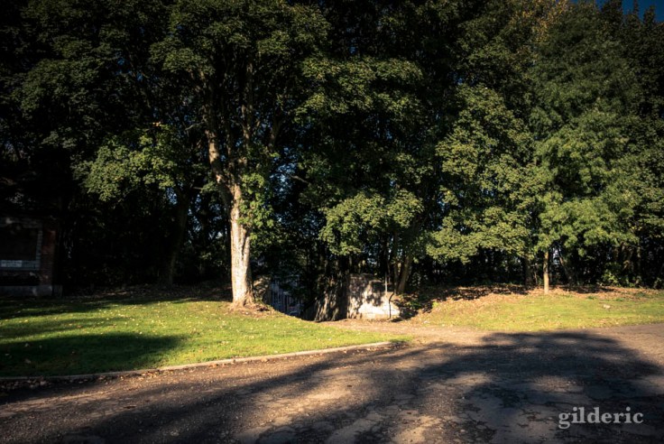 Ombres et lumière de l'été indien (La Chartreuse, Liège)