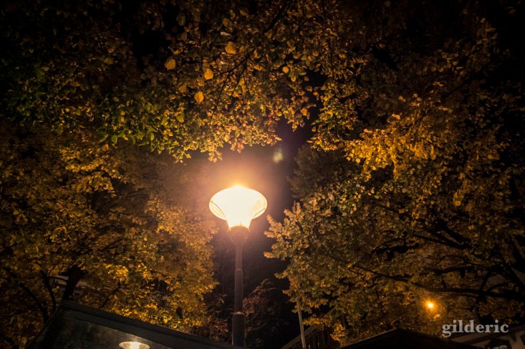 Lampadaire et ambiance d'automne