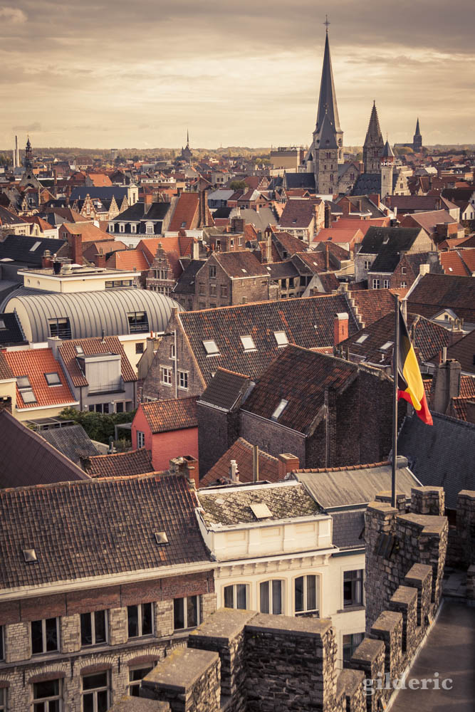 Les toits de Gand en automne