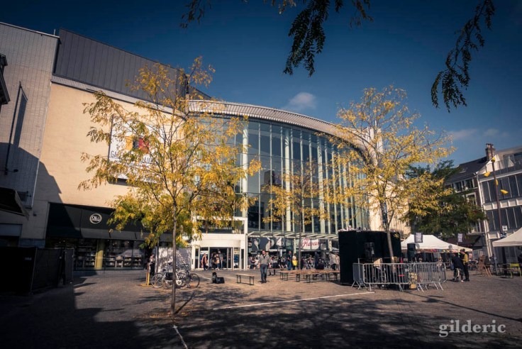 Ciel bleu et jaune automnal