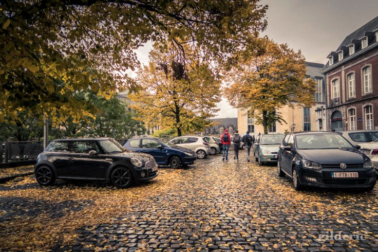 Pavé mouillé en automne