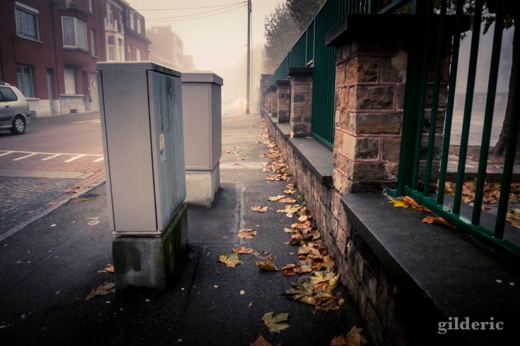 Brouillard d'automne en ville