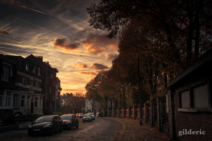 Crépuscule automnal