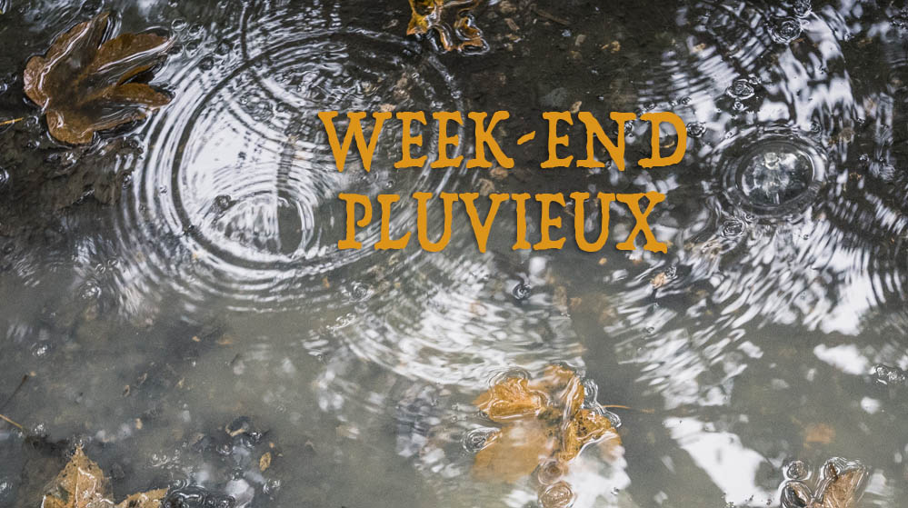 Week-end pluvieux : flaques, reflets et photographie