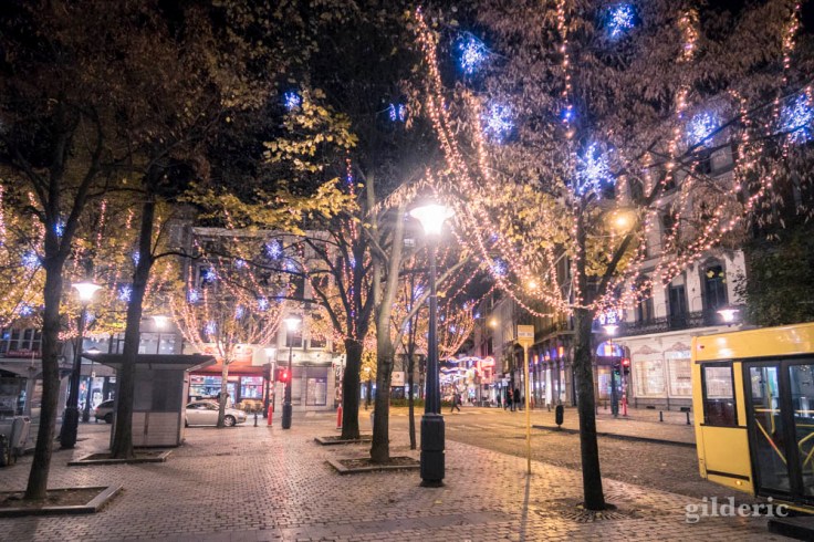 Avent#1 : la Forêt de lumière (Liège)
