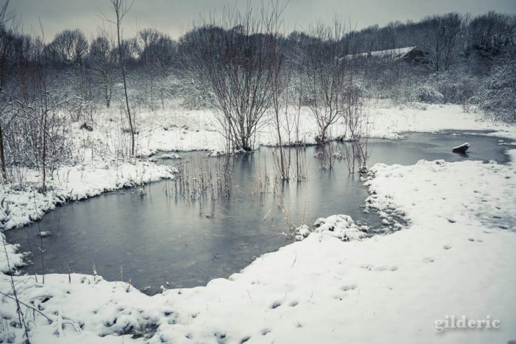 La Chartreuse enneigée (Liège)