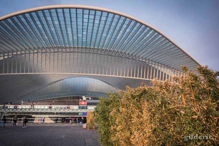 Un matin à la gare de Liège-Guillemins