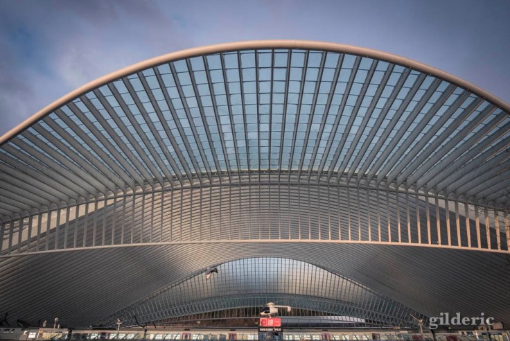 La gare de Liège-Guillemins rayonne