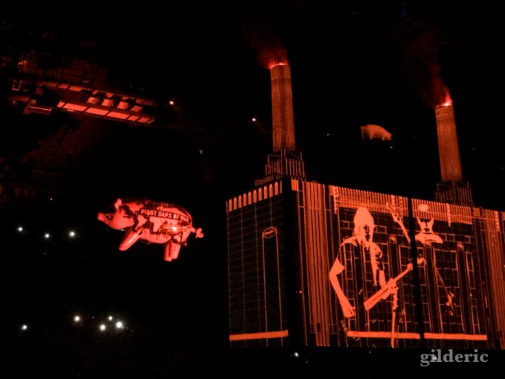 Roger Waters "Us + Them Tour" live à Anvers : Pigs