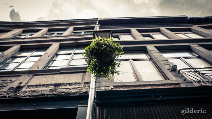 La Rue aux enfants en Neuvice (Liège)