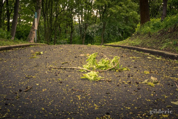 Nos espaces verts sont-ils en danger ?