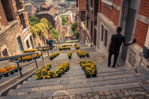 Bueren en fleurs 2018 (à Liège, Belgique)