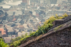 Bueren en fleurs 2018 (à Liège, Belgique)