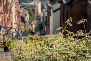 Bueren en fleurs 2018 (à Liège, Belgique)