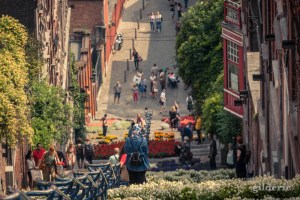 Bueren en fleurs 2018 (à Liège, Belgique)