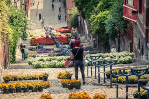 Bueren en fleurs 2018 (à Liège, Belgique)