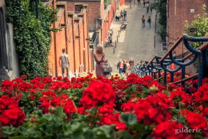 Bueren en fleurs 2018 (à Liège, Belgique)