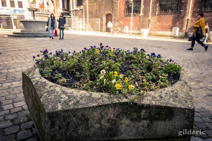 Comment photographier la ville ?