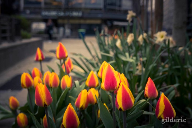 Comment photographier la ville ?