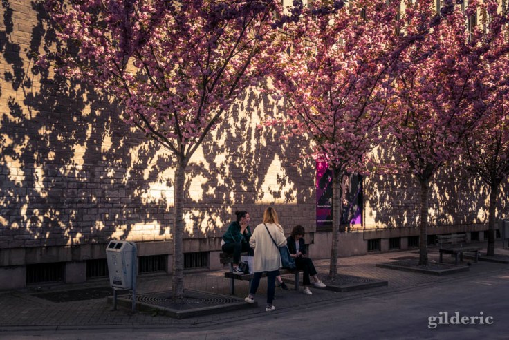 Comment photographier la ville ?