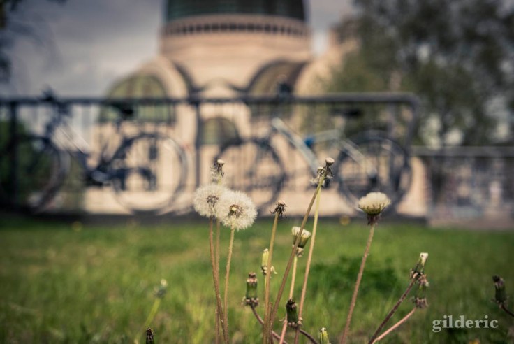 Comment photographier la ville ?