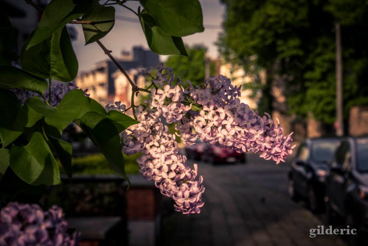 Comment photographier la ville ?