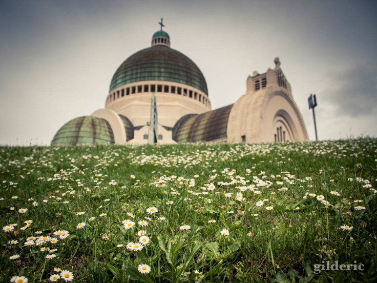 photographier la ville : au ras des pâquerettes