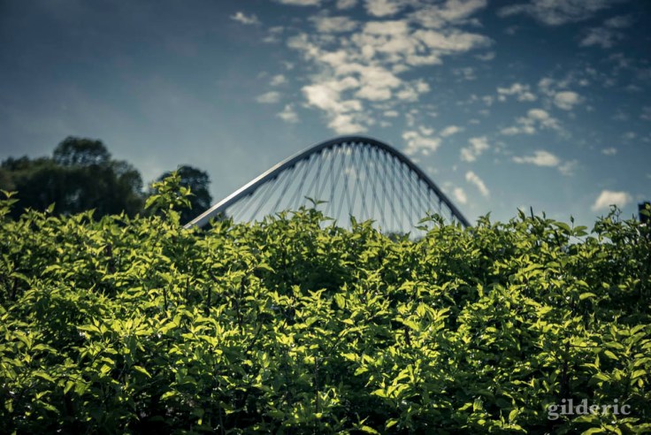 photographier la ville : graphisme végétal