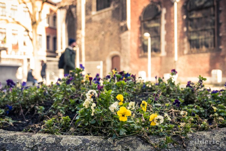 Comment photographier la ville ?