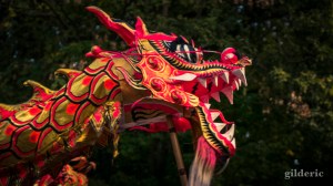Les Contes mystérieux de la Chartreuse 2018 : danse du dragon chinois