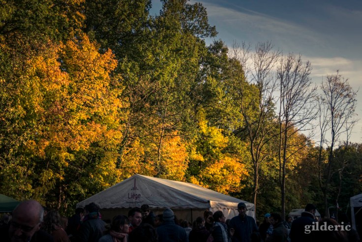 Les Contes mystérieux de la Chartreuse 2018