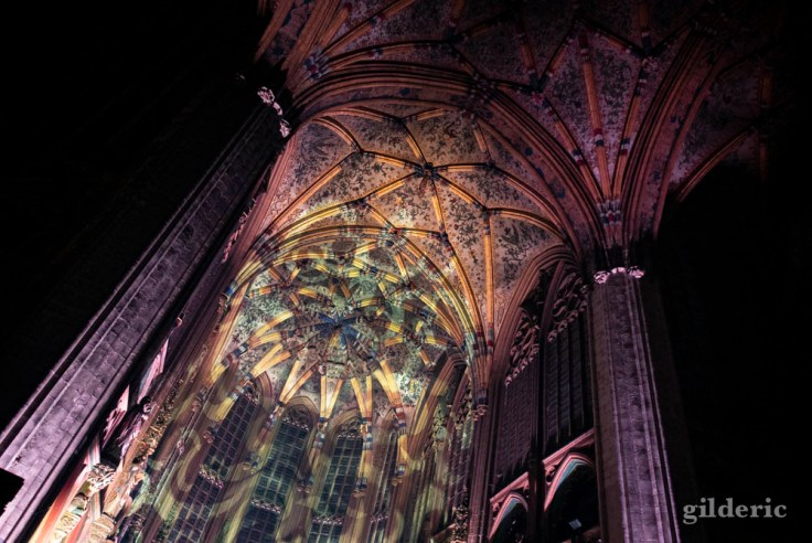 Laurent Voulzy en concert à Saint-Jacques (Liège)