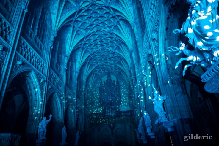 Laurent Voulzy en concert à Saint-Jacques (Liège)