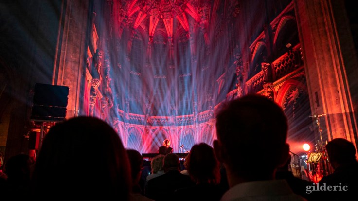 Laurent Voulzy en concert à Saint-Jacques (Liège)