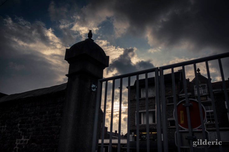 Photographier la Toussaint (cimetière de Robermont)