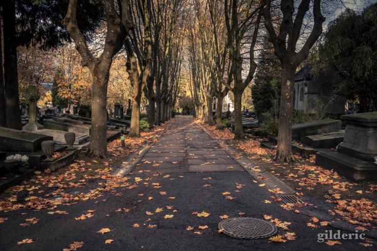 Photographier la Toussaint (cimetière de Robermont)