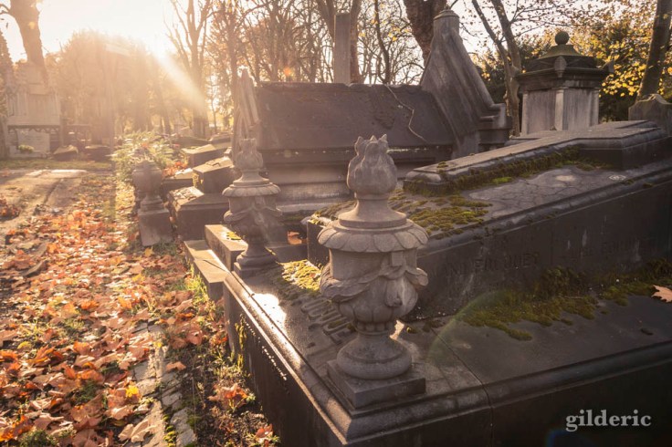 Photographier la Toussaint (cimetière de Robermont)