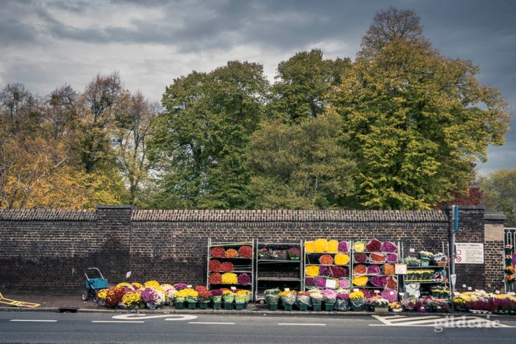 Photographier la Toussaint