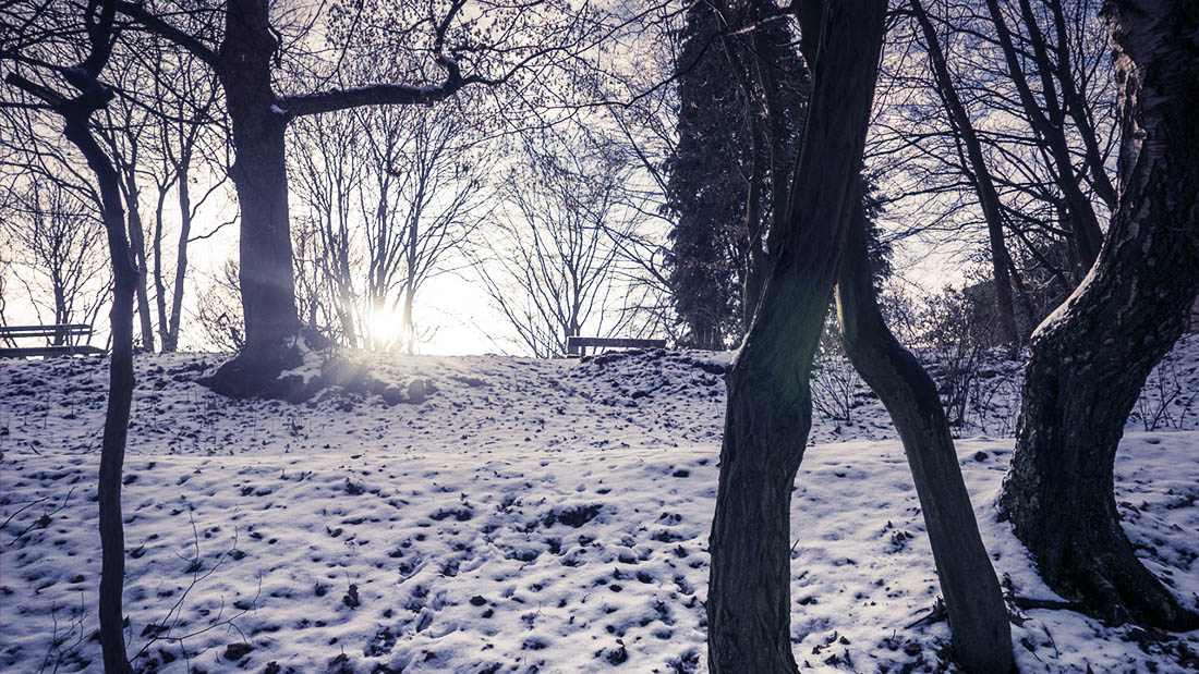 Dimanche neigeux à la Chartreuse